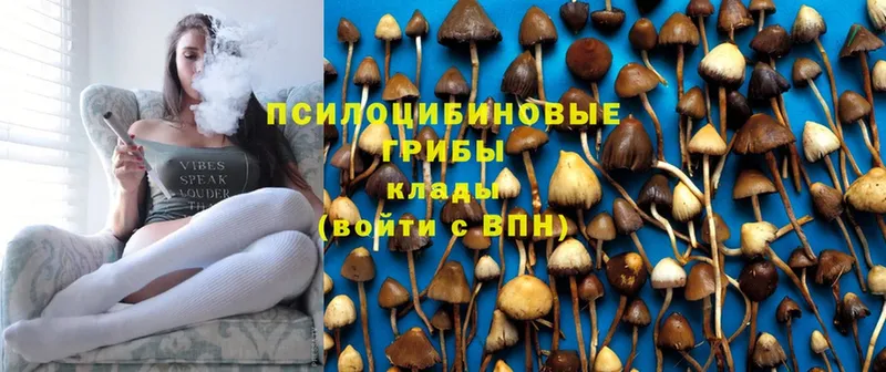 Галлюциногенные грибы GOLDEN TEACHER  Почеп 